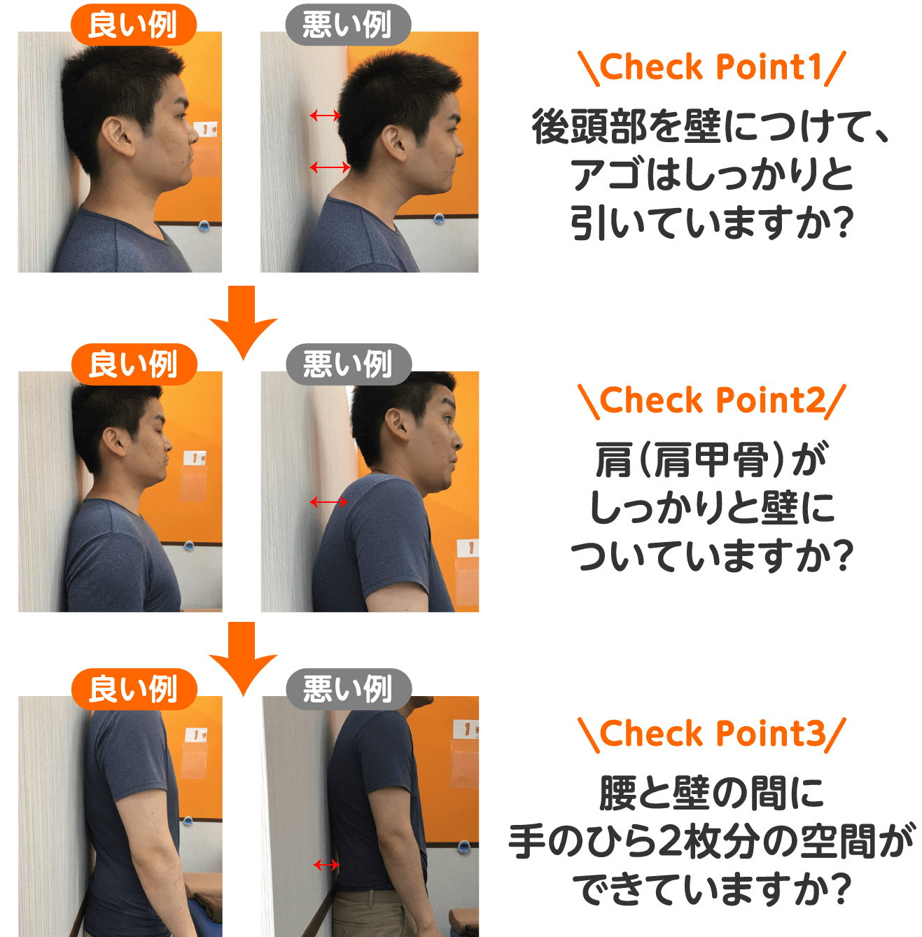 カラダの歪みチェック3ポイントの良い例と悪い例